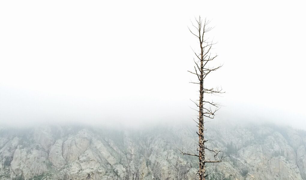 Gdzie się zatrzymać w Chamrousse?