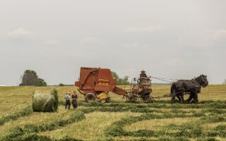 Jak wybrać najlepsze tapety do pokoju dziecięcego?